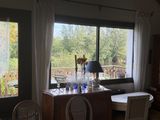 a dining room table with chairs and a lamp in it