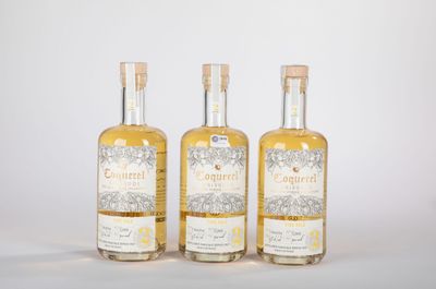 trois bouteilles de gin sur fond blanc