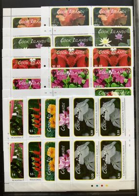 une photo d'une photo représentant des fleurs sur une feuille de papier