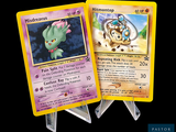 deux cartes Pokémon présentant des illustrations différentes