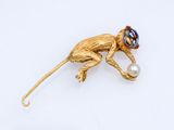 a close up of a monkey with a pearl in its mouth