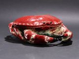a red crab that is sitting on a black surface