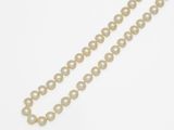 gros plan d'un collier de perles sur une surface blanche