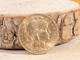 a gold coin sitting on top of a piece of wood