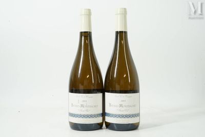 pair of two bottles of white wine sitting on a white surface