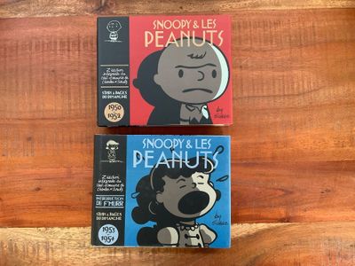 Deux livres posés sur une table en bois : l'un est un album de Snoop et l'autre un album de Peanuts.