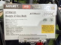 Buggy XTRM 81 212 cc Bolt, 4 temps, automatique - Véhicule n… (photo 3)