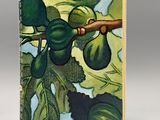 painting of figs on a branch with leaves on a gray background