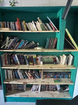 une bibliothèque sur laquelle sont rangés de nombreux livres