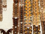 many different types of butterflies on display in a display case
