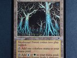 une photo d'une carte sur laquelle figure l'image d'un arbre