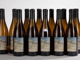 six bouteilles de vin sont alignées sur une surface blanche