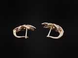 a pair of gold earrings with claws on them on a black background