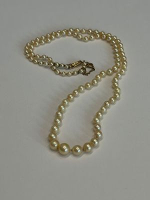 collier de perles sur fond blanc, muni d'un fermoir doré