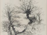 an image of a drawing of a tree in the middle of a field