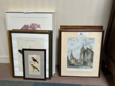 two framed pictures of birds on the floor next to each other