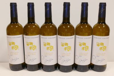 six bouteilles de vin sont alignées sur une table