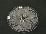a glass plate with a white doily on it