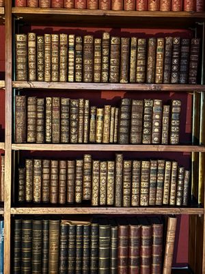 de nombreux livres anciens sur les étagères de la pièce