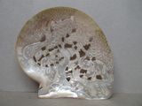 un coquillage blanc sur lequel est représenté un dragon