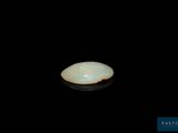an oplite is shown in the dark with a black background