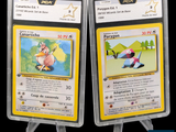 deux cartes Pokémon dans des pochettes en plastique sur fond noir