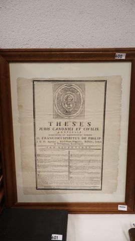 THESES juris canonici et civilis auspiciis nobilissimi et illustr...
