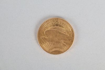 pièce de 20 dollars en or, 1924 , poids 33. - Photo 1
