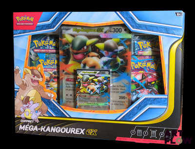 une boîte de cartes Pokémon avec une image de ces derniers à l'intérieur