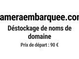 Photo 1/1 du lot