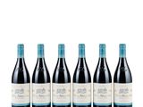 six bottles of red wine in a row on a white background