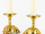 pair of brass candlesticks with tortoises on the bases