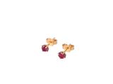 a pair of gold and ruby earrings on a white background