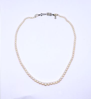 a close up of a white pearl necklace on a white background
