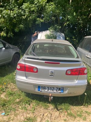 une voiture argentée garée dans l'herbe