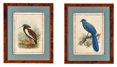 two framed pictures of birds sitting on top of a wooden table