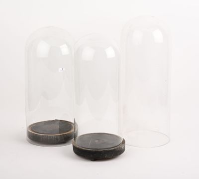 trois cloches en verre avec un socle en bois et un socle noir