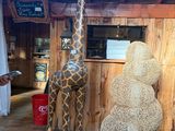 une statue représentant une girafe à côté d'un bonhomme de neige