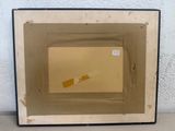 a picture of a picture of a cat in a box