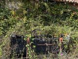two suitcases that are sitting in the bushes