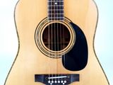 a close up of an acoustic guitar on a white background