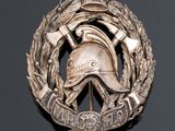 an image of a silver badge with a helmet on top of it