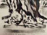 drawing of an old tree with a lot of leaves on it