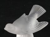 un oiseau blanc perché sur une table
