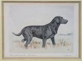 painting of a black dog standing in a field of grass