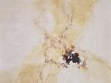 une image représentant un tableau représentant un chien sur fond blanc