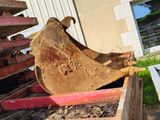 a large piece of wood that is sitting in the dirt