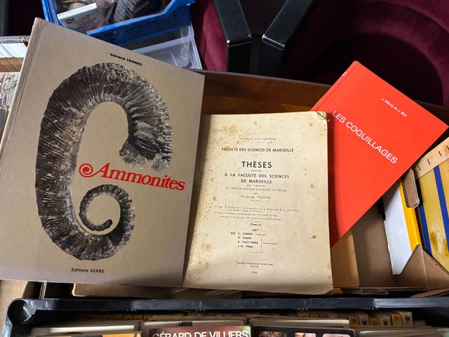 Lot de livres sur les fossiles et coquillages : Ammonites de Géra...