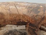 a close up of a statue of a horse on a rock