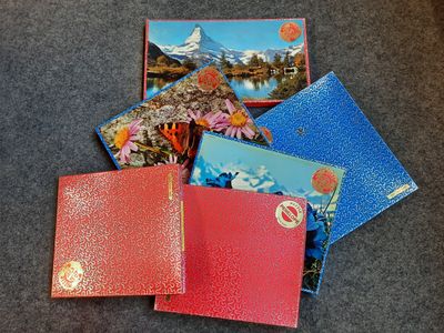 several books are lined up on a carpeted surface